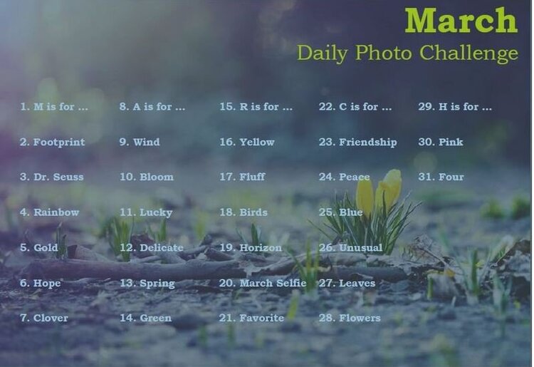 March Photo Prompts
