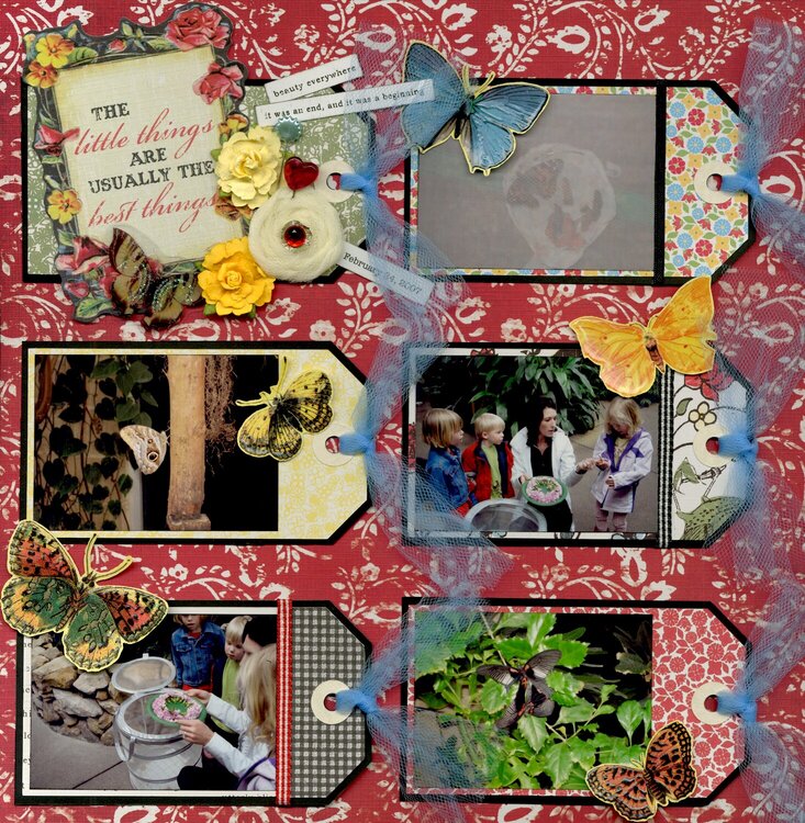 At the Butterfly Pavilion