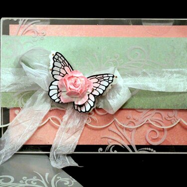 butterfly card