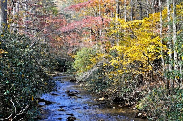 Creek in Fall