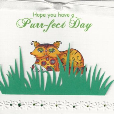 Purr-fect Day Note Card