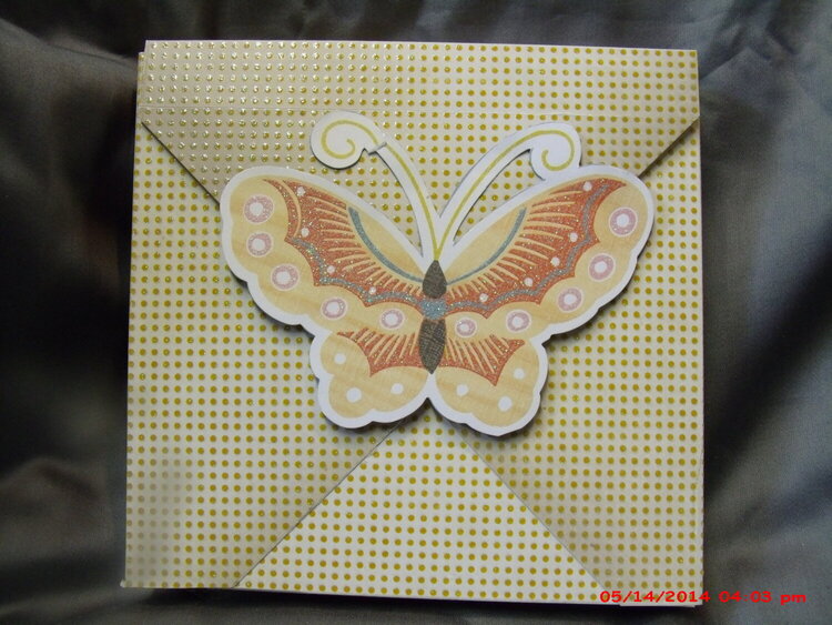 pink lace butterfly card with envelope box