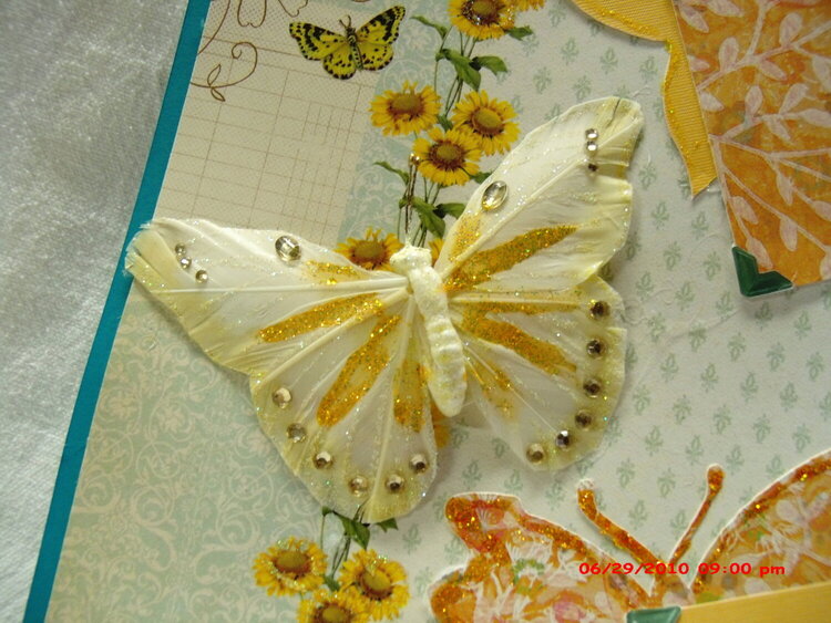 Beautiful Butterflies pages