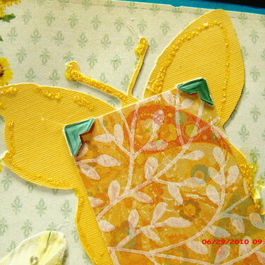 Beautiful Butterflies pages