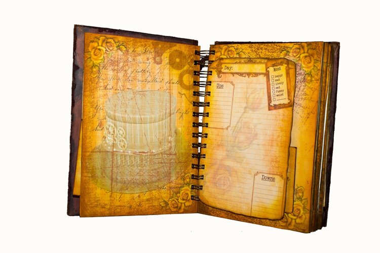 steampunk journal