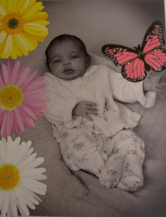 flower butterfly baby