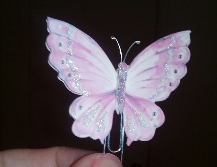 Paper Clip's Decorated