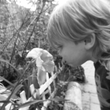 taking time to smell the flowers