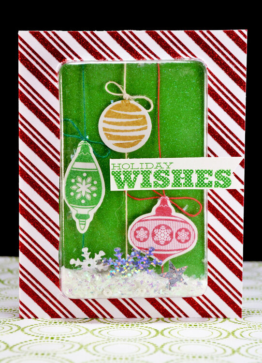 Wishes Shaker Card