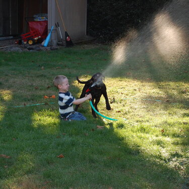 Alex and Happy playing in the water.