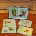 Bird Series - Set of 6