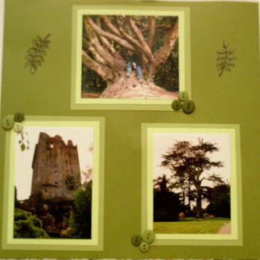 Blarney Castle Page 3 of 3