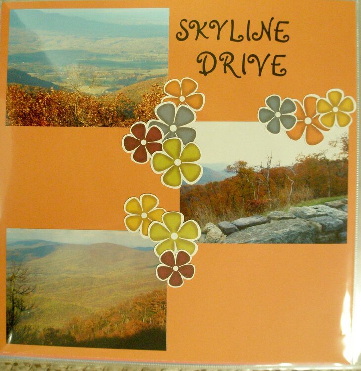 Skyline Drive LS