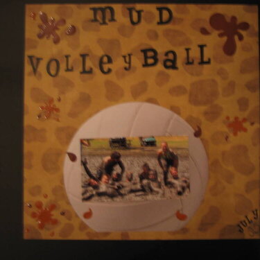 Mud Volleyball cover