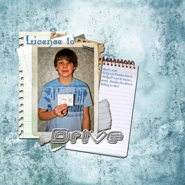 License to Drive