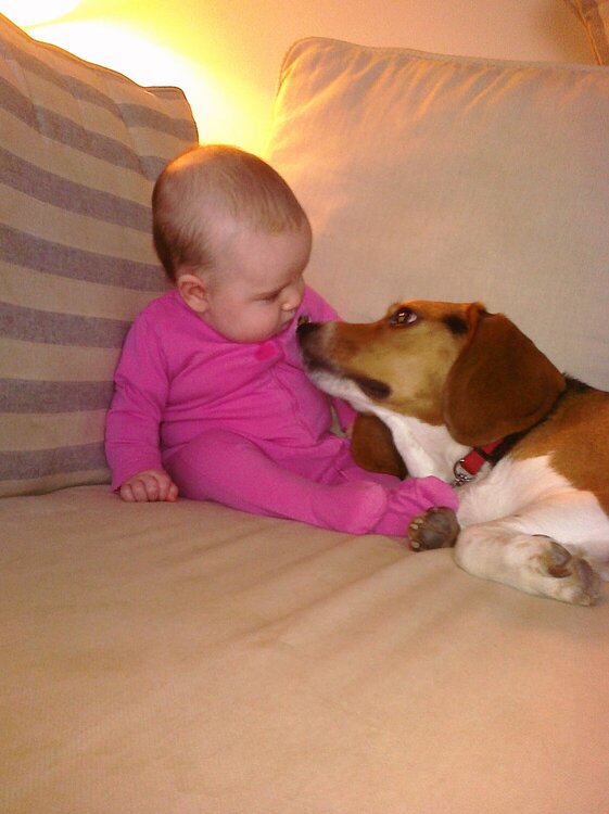 Ellie and the Beagle