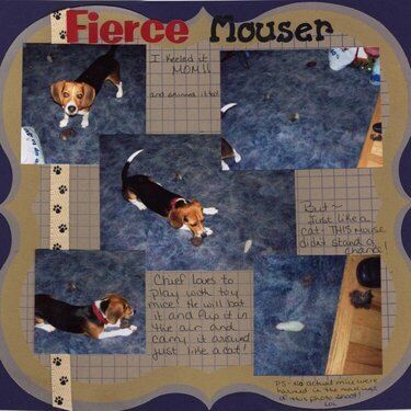 Fierce Mouser