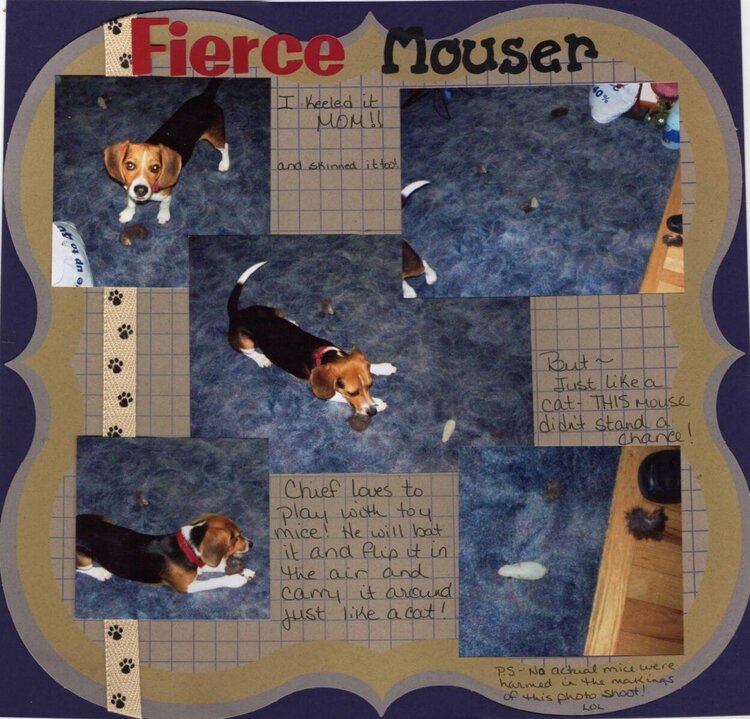 Fierce Mouser