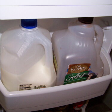 6. Milk Bottle/Milk can (9 pts)