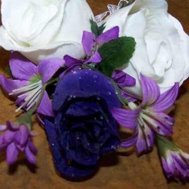 18. Purple Rose (9 pts)
