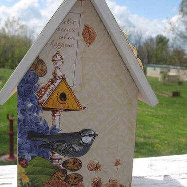 bird house