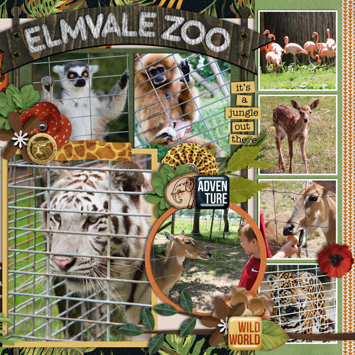 Elmvale Zoo (right)