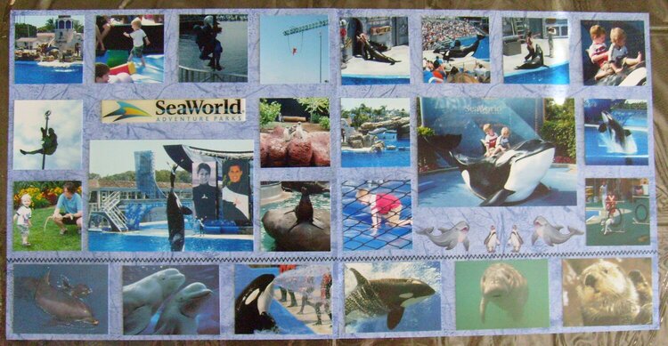 Sea World Collage