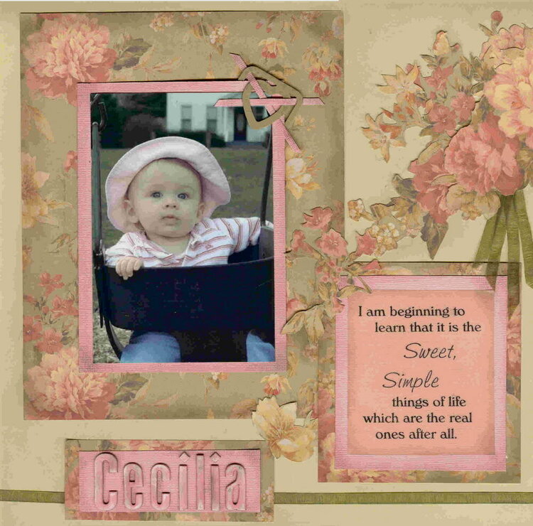 Entry #1  &amp;quot;Sweet Cecilia&amp;quot;