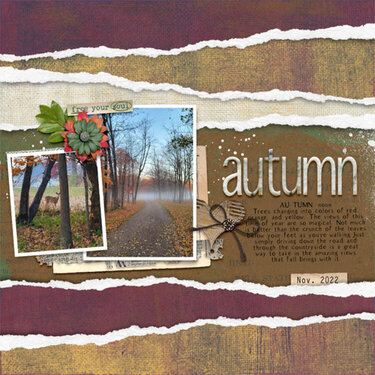 Definition of Autumn
