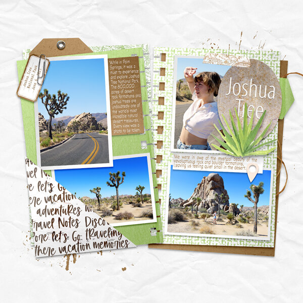 Joshua Tree - Page !