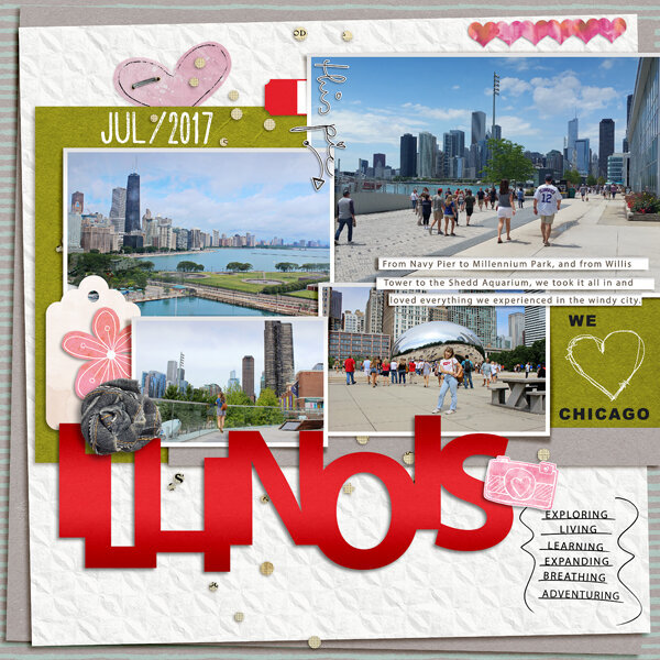 Illinoise - We Love Chicago