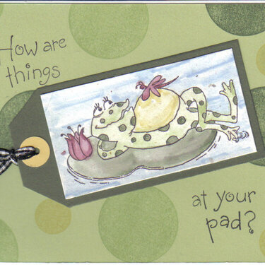 frolicking frog card