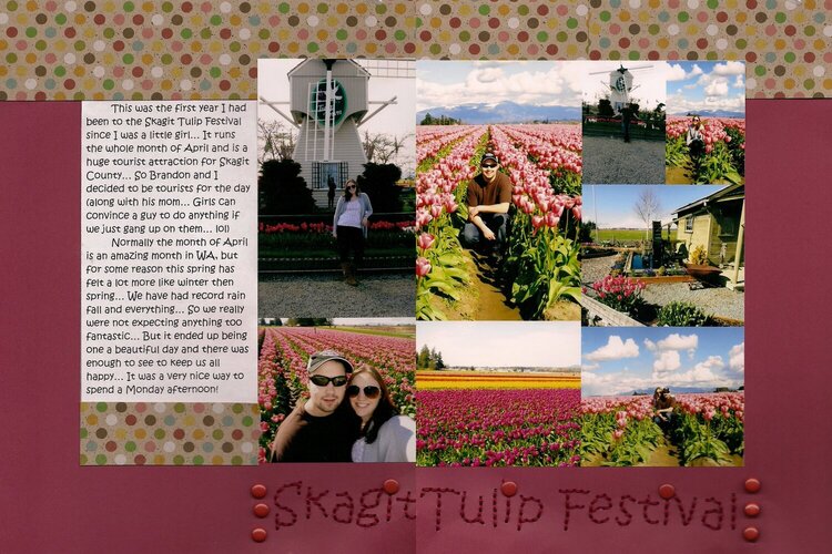 Skagit Tulip Festival