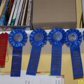 County Fair Ribbons