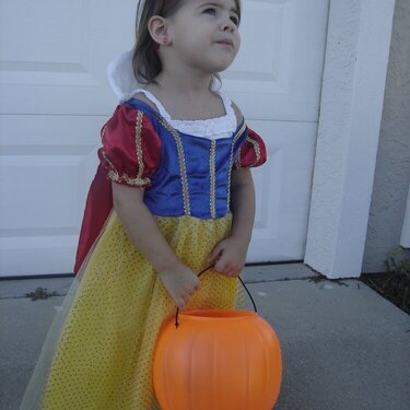 Snow White-full costume