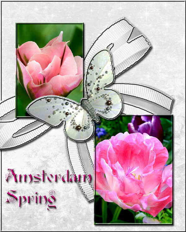 Amsterdam Spring flowers