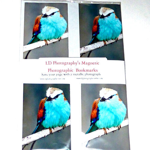 set of 4 Blue birds magnetic bookmarks