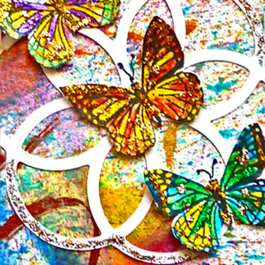 Butterfly Haven art card