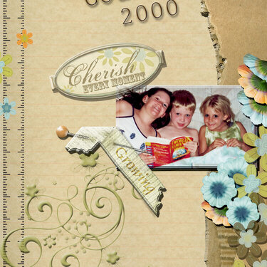 Cousins year 2000 digital lo