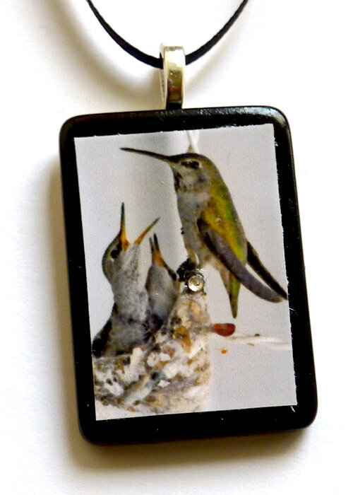 Hummingbird mom and babies photo pendant