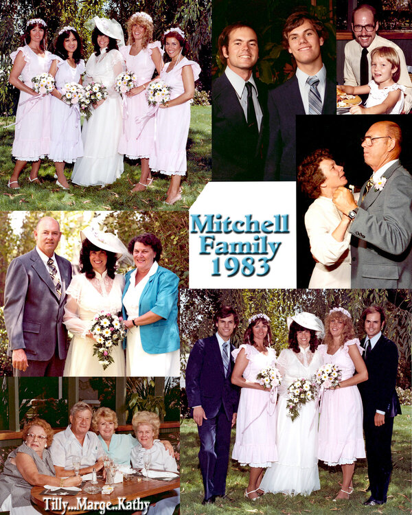 The mitchells