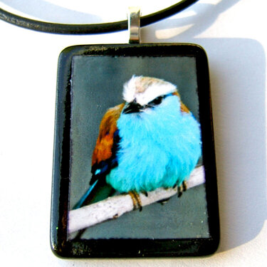 Blue Rollar bird pendant necklace