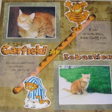 Garfield or Sebastion