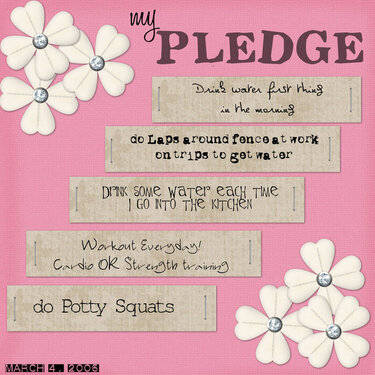 My pledge
