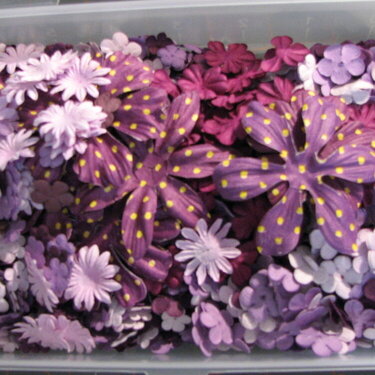 Inside of my flower storage for all the small flowers