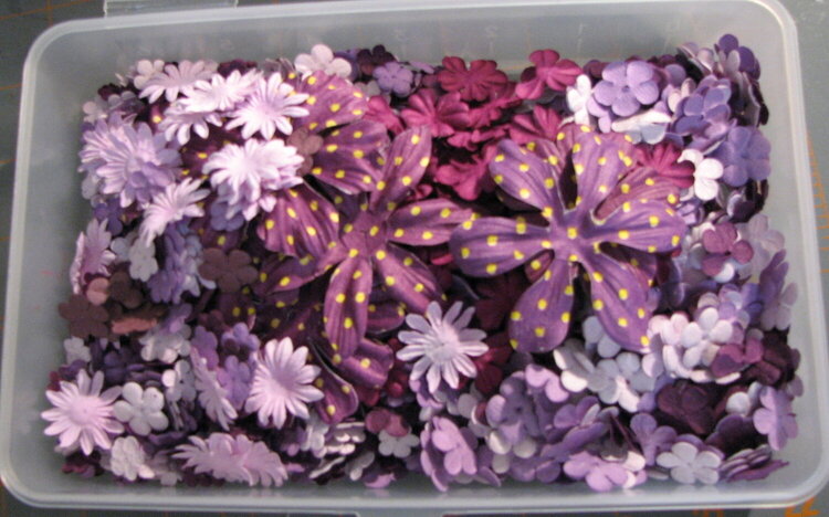 Inside of my flower storage for all the small flowers