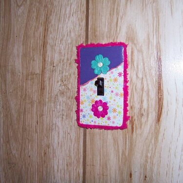 altered light switch cover