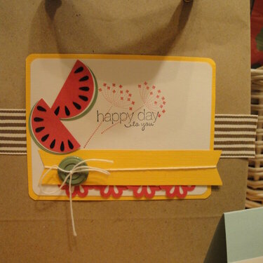 Watermelon Punch Gift bag