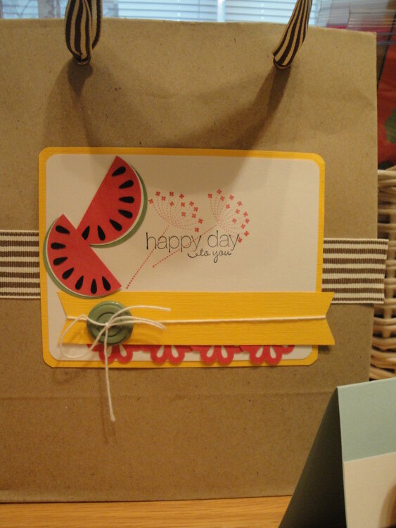 Watermelon Punch Gift bag