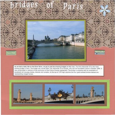 Bridges of Paris